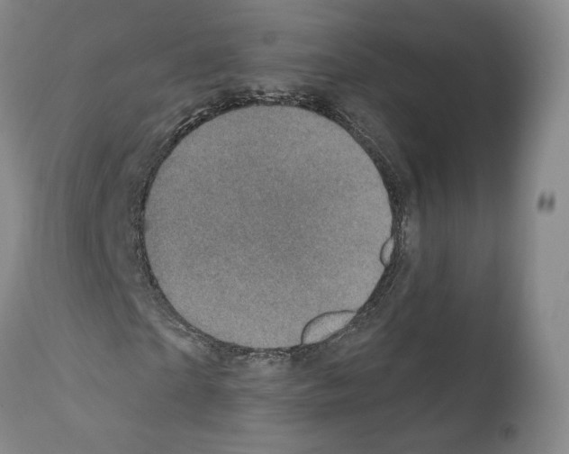 X0000111580865200908271033