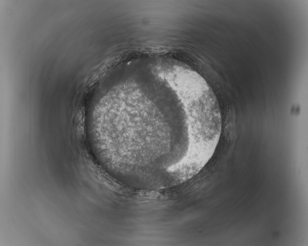 X0000111580866200908271033