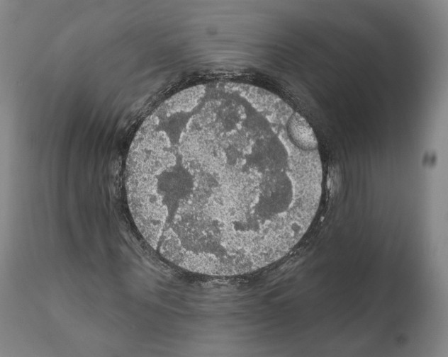 X0000111580867200908271033