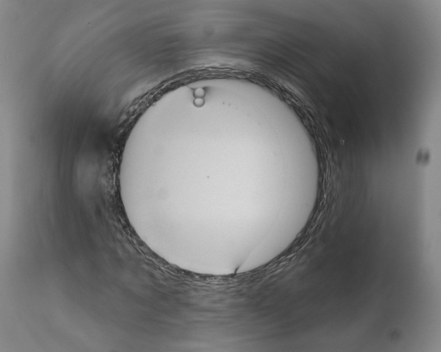 X0000111580869200908271033