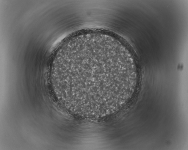 X0000111580871200908271033