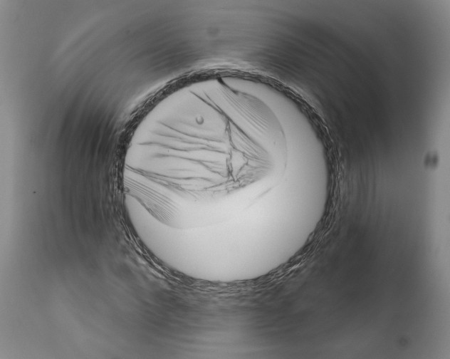 X0000111580872200908271033