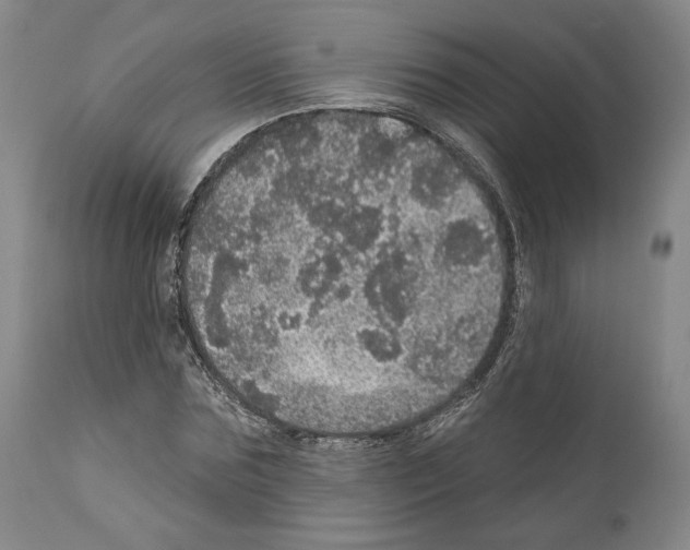 X0000111580875200908271033