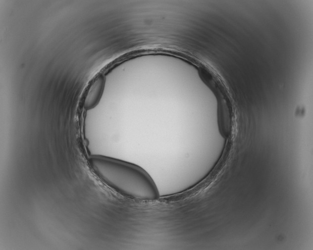 X0000111580876200908271033