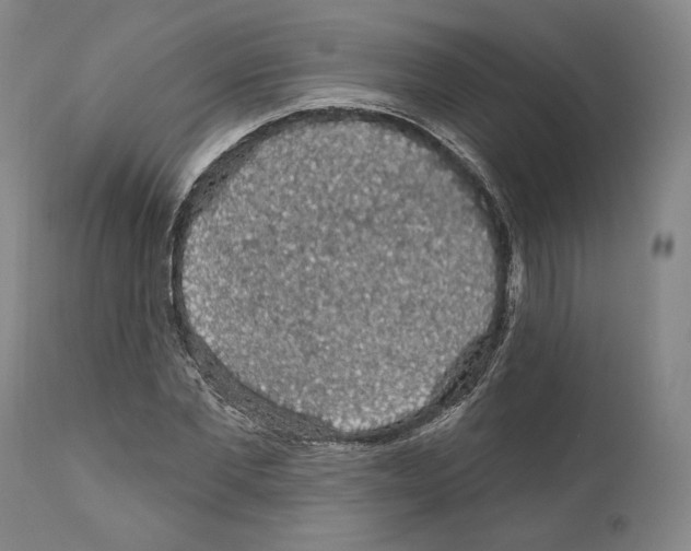 X0000111580877200908271033