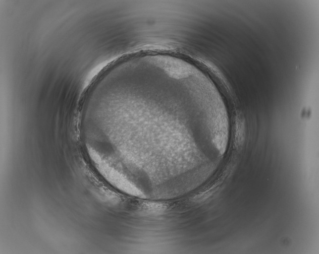 X0000111580878200908271033