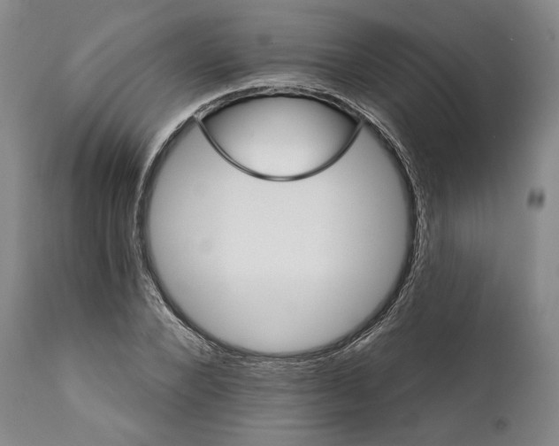 X0000111580880200908271033