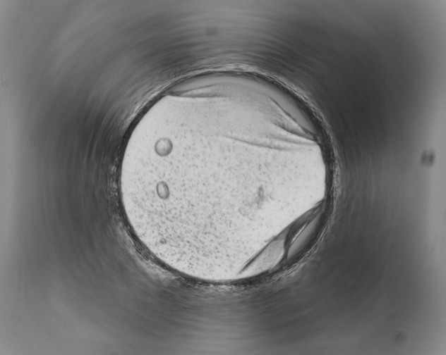 X0000111580881200908271033