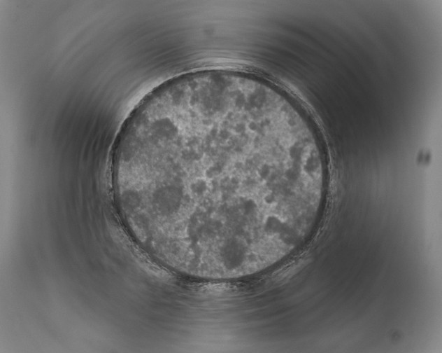 X0000111580883200908271033