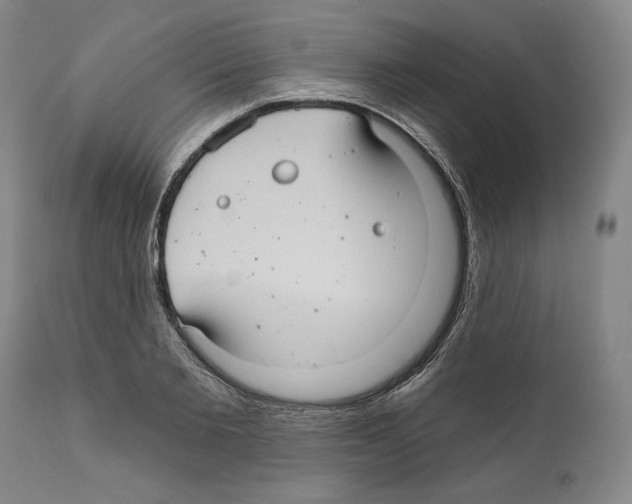 X0000111580885200908271033