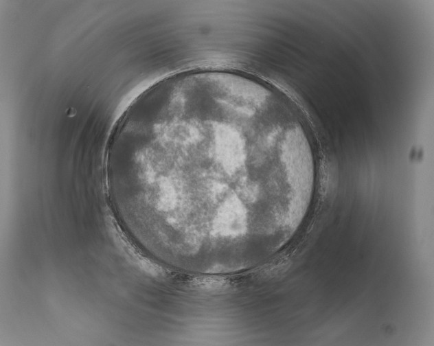 X0000111580886200908271033