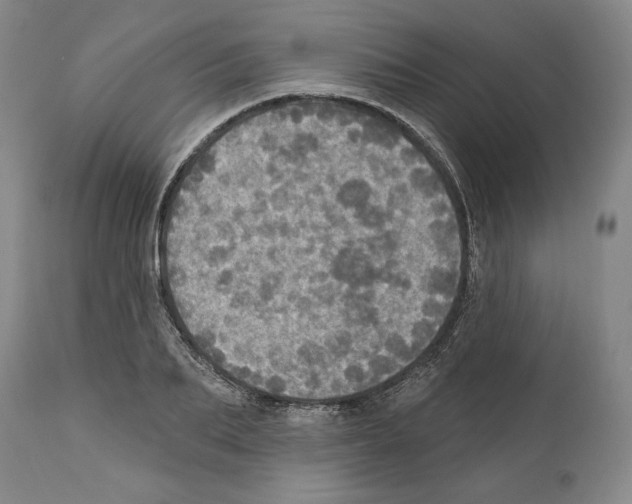 X0000111580887200908271033