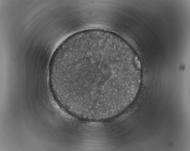 X0000111580888200908271033