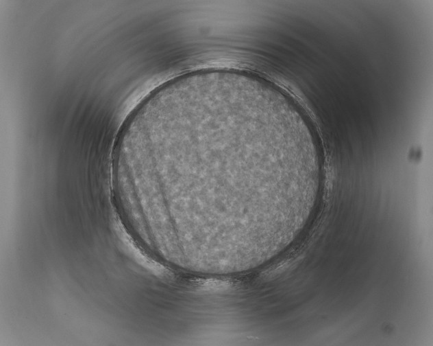 X0000111580890200908271033