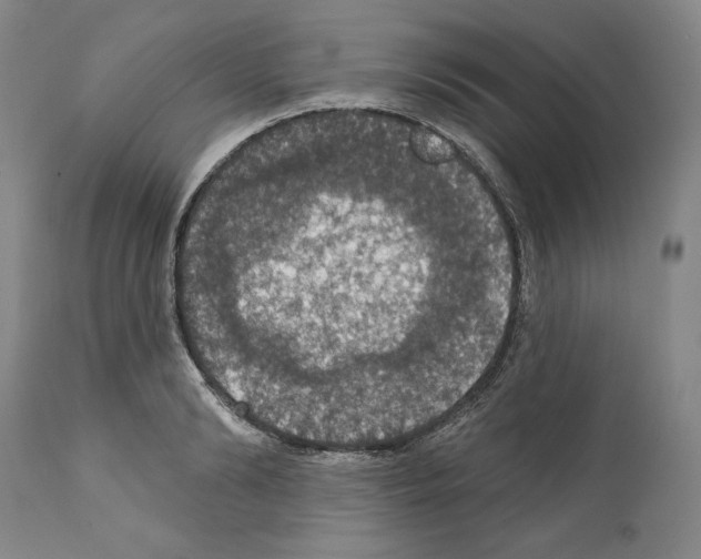 X0000111580894200908271033