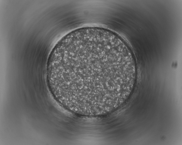 X0000111580895200908271033