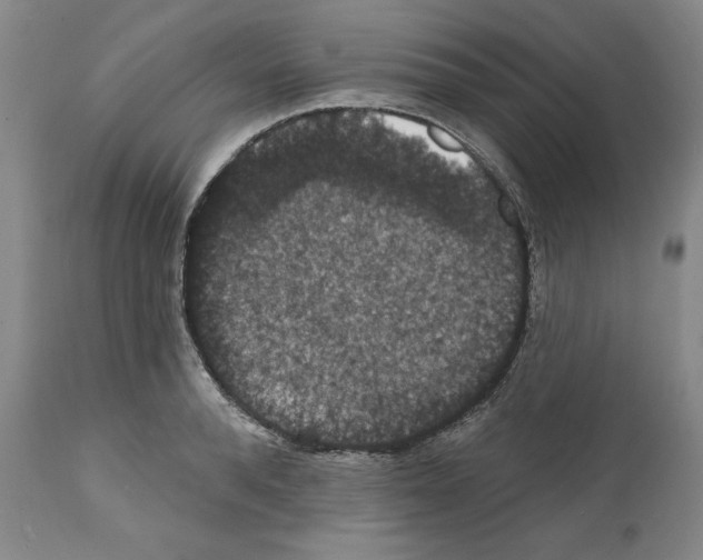 X0000111580896200908271033