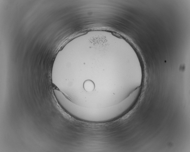 X0000111580897200908271033