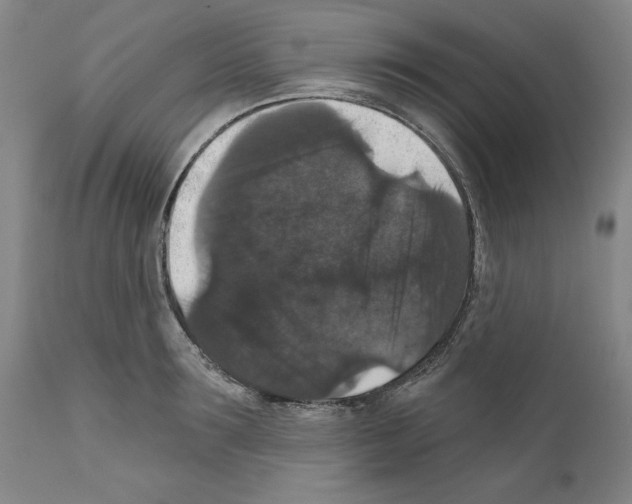 X0000111580899200908271033