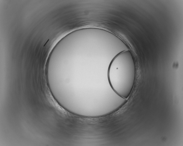 X0000111580900200908271033