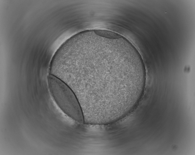 X0000111580901200908271033