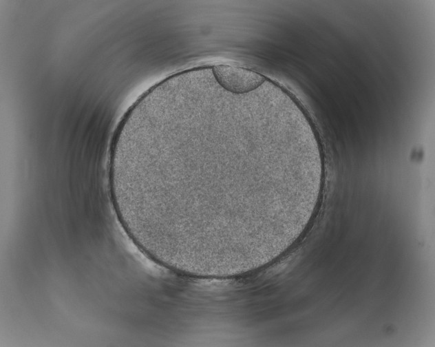 X0000111580902200908271033