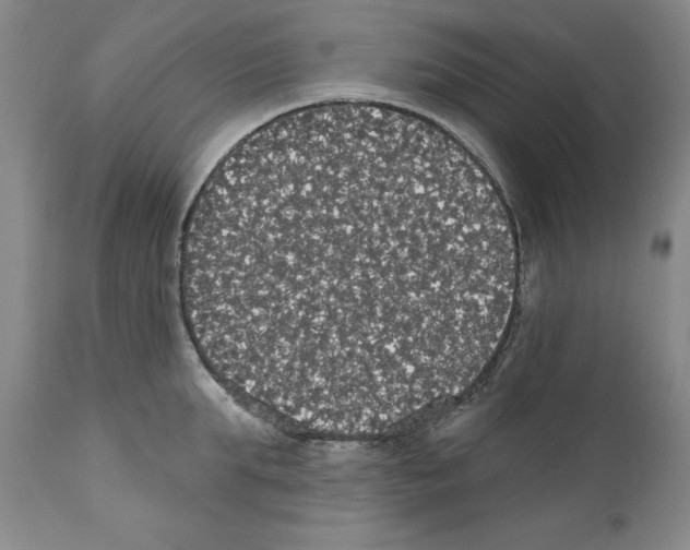 X0000111580903200908271033