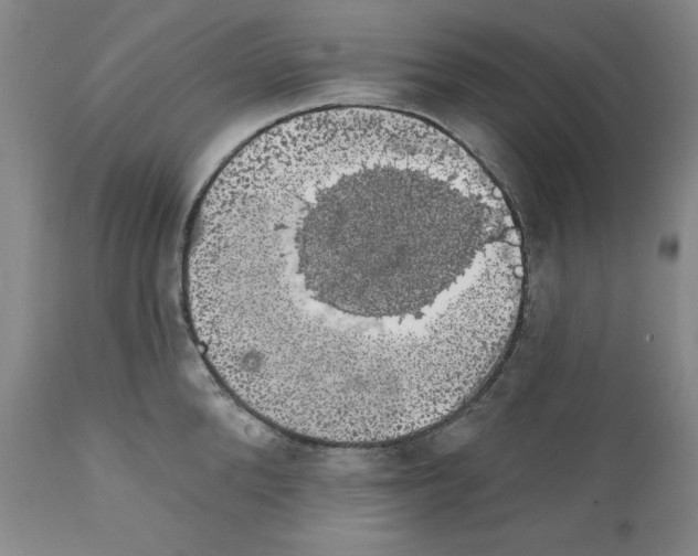 X0000111580904200908271033