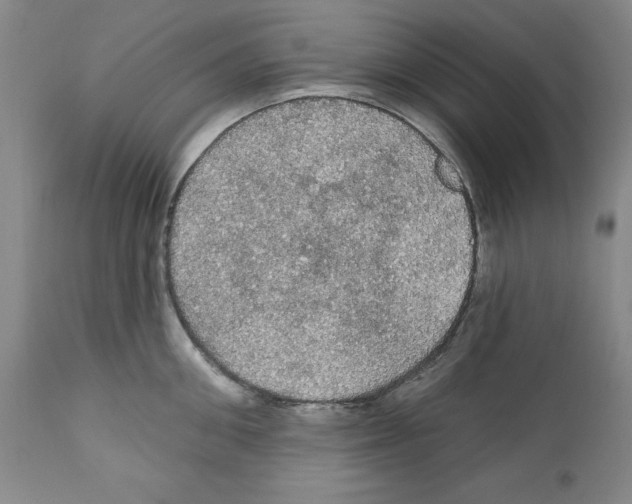 X0000111580906200908271032