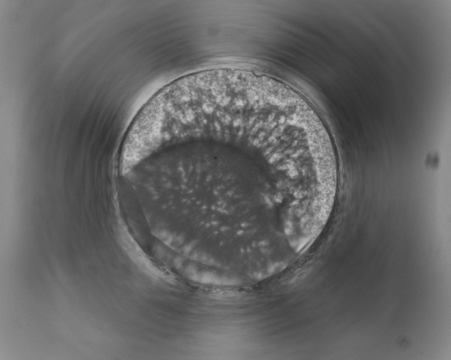 X0000111580907200908271032