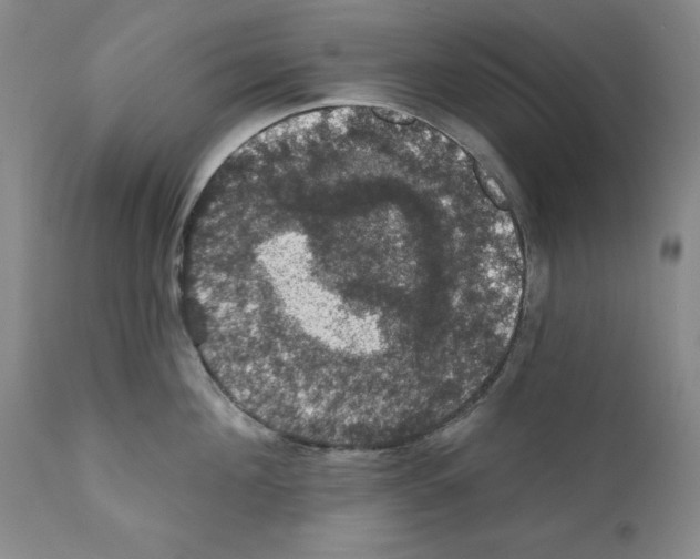 X0000111580908200908271032