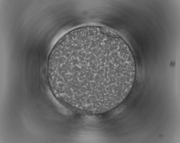 X0000111580911200908271032