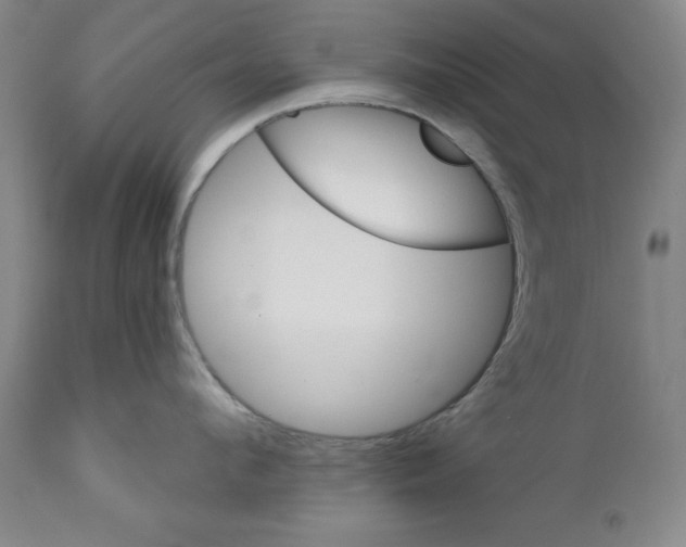 X0000111580912200908271032