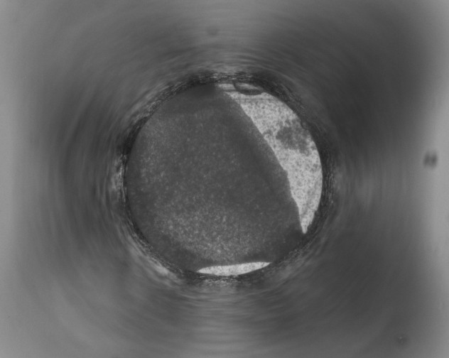 X0000111580914200908271031