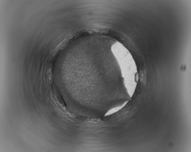 X0000111580915200908271031