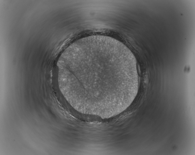 X0000111580916200908271031