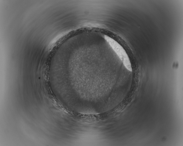 X0000111580919200908271031