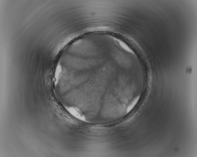 X0000111580921200908271032