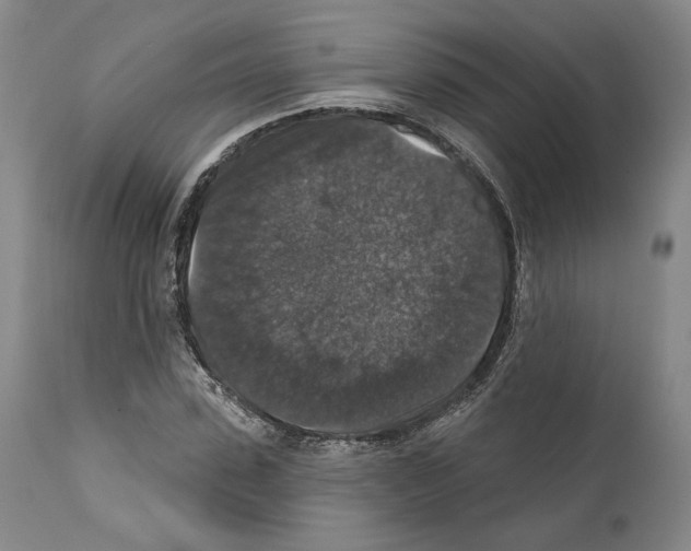 X0000111580923200908271032