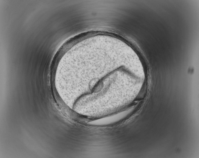 X0000111580924200908271032