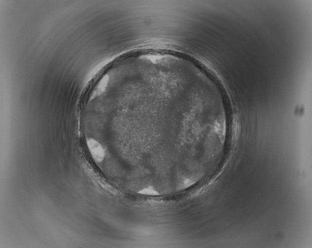 X0000111580925200908271032