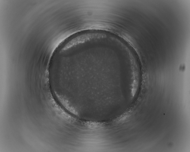 X0000111580928200908271032