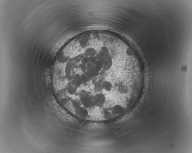 X0000111580929200908271032