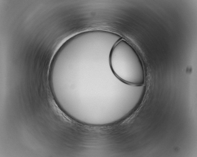 X0000111580932200908271032