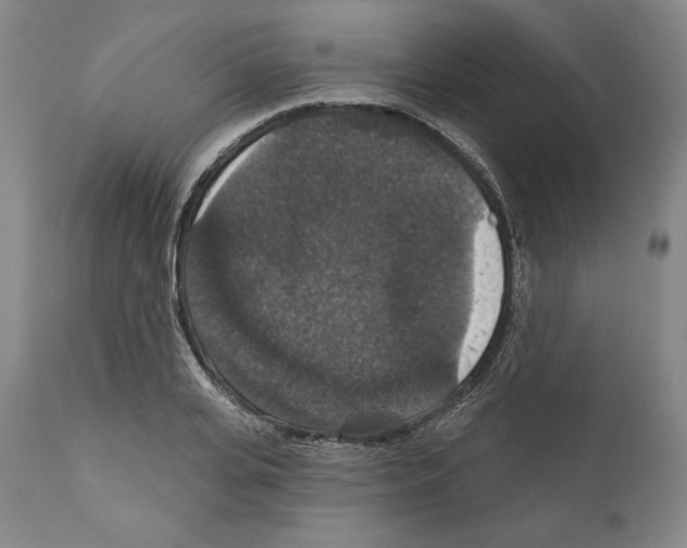 X0000111580935200908271032