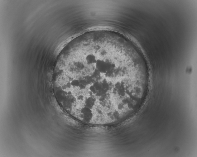 X0000111580937200908271032