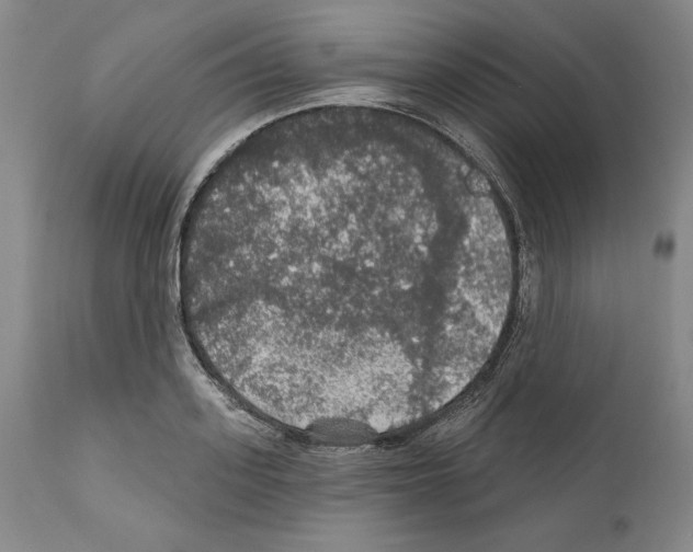 X0000111580939200908271032