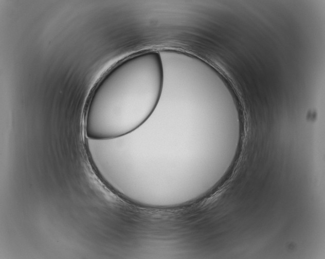 X0000111580940200908271032