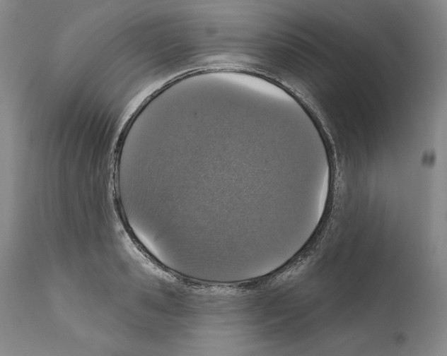 X0000111580941200908271032