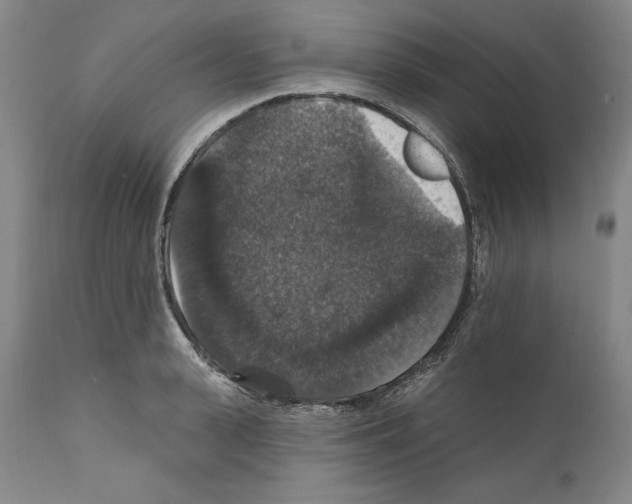 X0000111580943200908271032